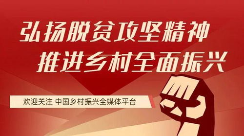 25個縣獲住建部與財政部聯合補貼，存算一體成縣域服務新引擎